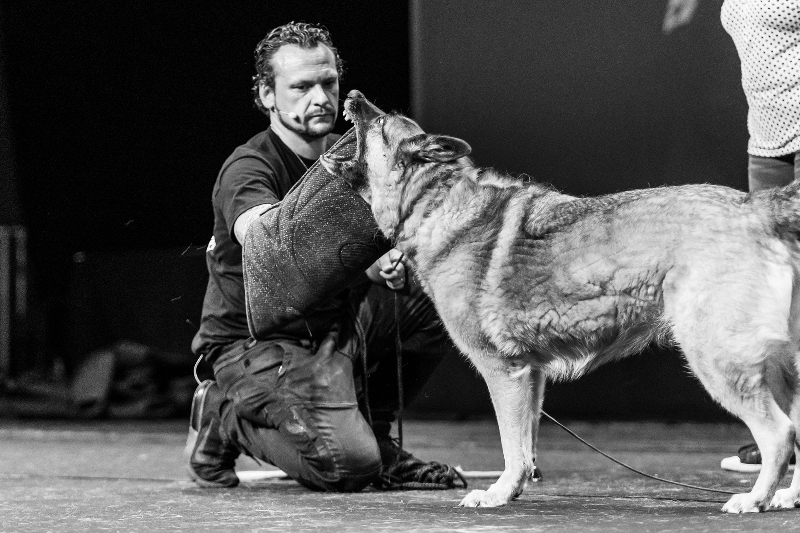 Comportementaliste canin Romans-sur-Isère