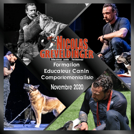 Formation "Educateur canin comportementaliste" Du 3 au 28 novembre 2020