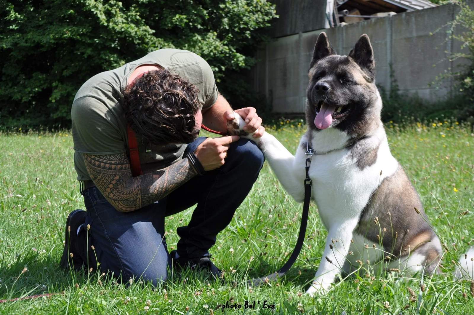 Éducateur canin vers Bussy Saint Georges