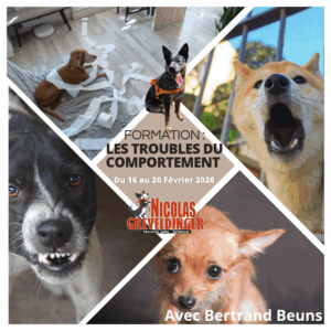 Formation : " Gestion des Troubles du comportement" Du 16 au 20 fevrier 2026