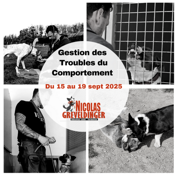 Comportementaliste canin Ajaccio