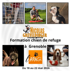 Formation Gestion des chien de refuge Du 18 au 22 mai 2026 à L'Apagi à Grenoble