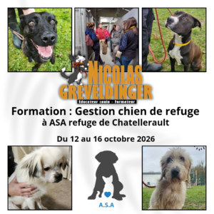 Formation Gestion des chien de refuge Du 12 au 16 octobre 2026 au Refuge ASA de Châtellerault