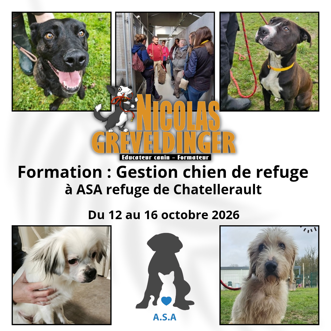 Formation Gestion des chien de refuge Du 12 au 16 octobre 2026 au Refuge ASA de Châtellerault