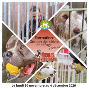 Formation Gestion des chien de refuge du 30 novembre au 4 décembre 2026 à Béthune