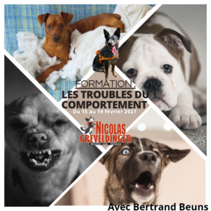 Formation : " Gestion des Troubles du comportement" Du 15 au 19 février 2027
